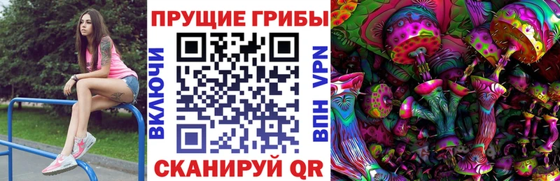 Галлюциногенные грибы Psilocybine cubensis  даркнет сайт  Снежногорск 