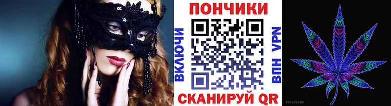 где можно купить   Снежногорск  Бошки марихуана THC 21% 